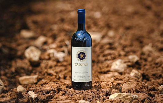 Sassicaia: The Most Searched Italian Wine in the World - Caná Wine Shop