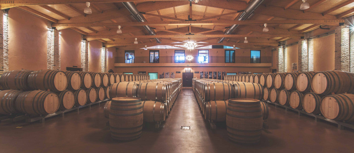Sun-drenched barrel hall at Bodegas Emilio Moro