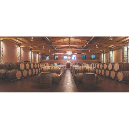 Sun-drenched barrel hall at Bodegas Emilio Moro