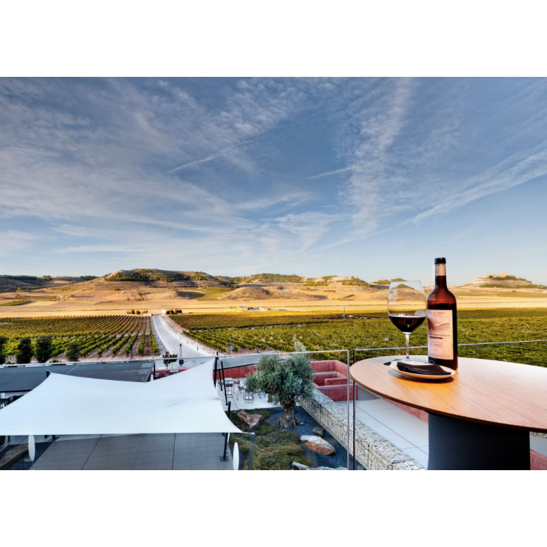 Tempranillo tasting at Pago de Carraovejas