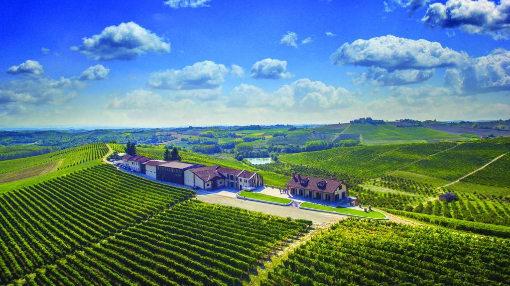 Montalbera Experience: Piedmont Wine Suites, Tastings & Vineyard Trails