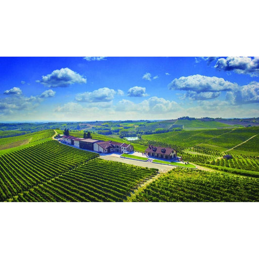 Montalbera Experience: Piedmont Wine Suites, Tastings & Vineyard Trails