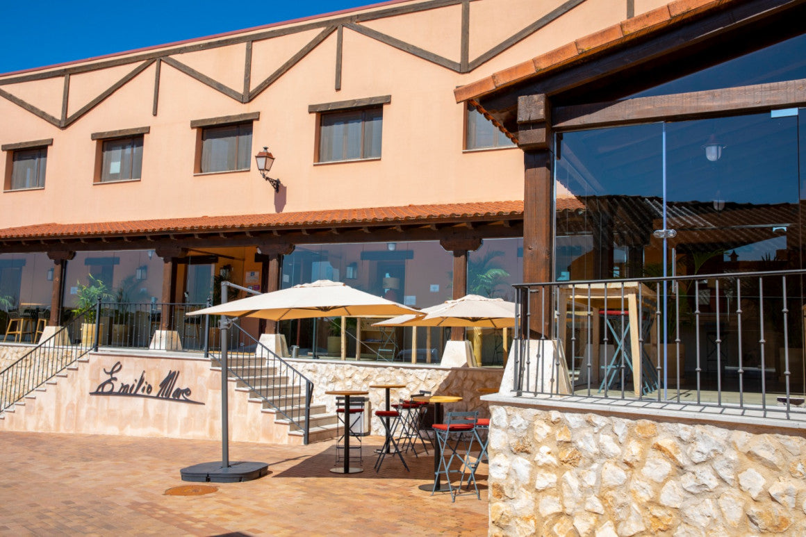 Emilio Moro Experience: Legacy Tour, Private Cellar & Castilian Pairings