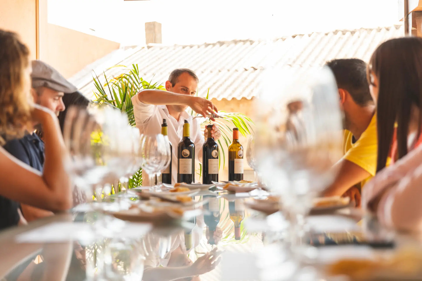Guests tasting in modern cellar with winemaker insights
