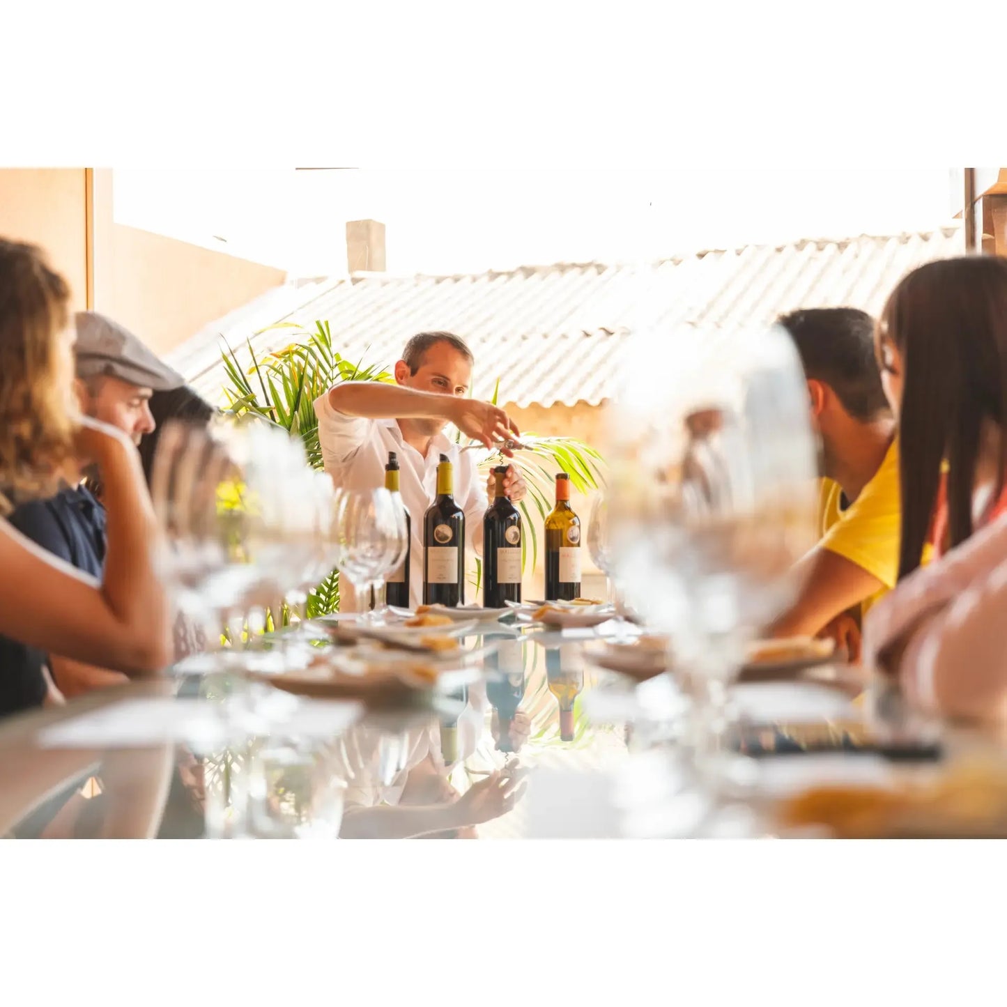 Guests tasting in modern cellar with winemaker insights