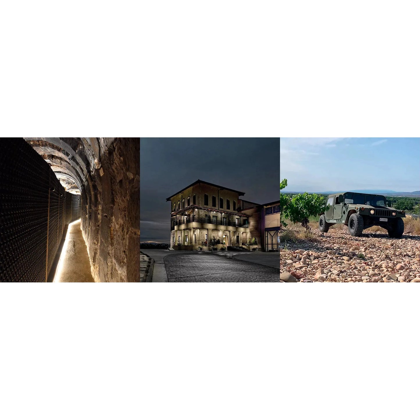 Bodegas Manzanos: Rioja Wine Experience with Historic Cellar Tour, Vineyard Safari & Gourmet Lunch