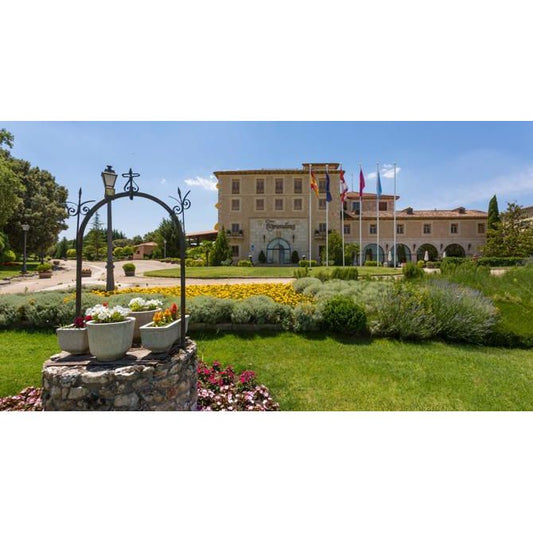 Torremilanos Experience: Château Stay, Barrel Tastings & Castilian Cuisine