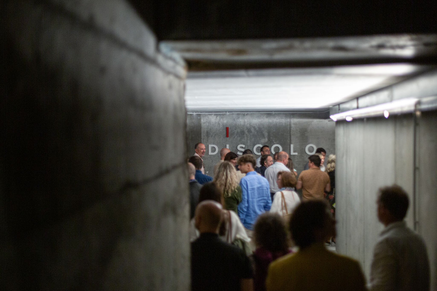Bodega Discolo: modern architecture meets wine rebellion