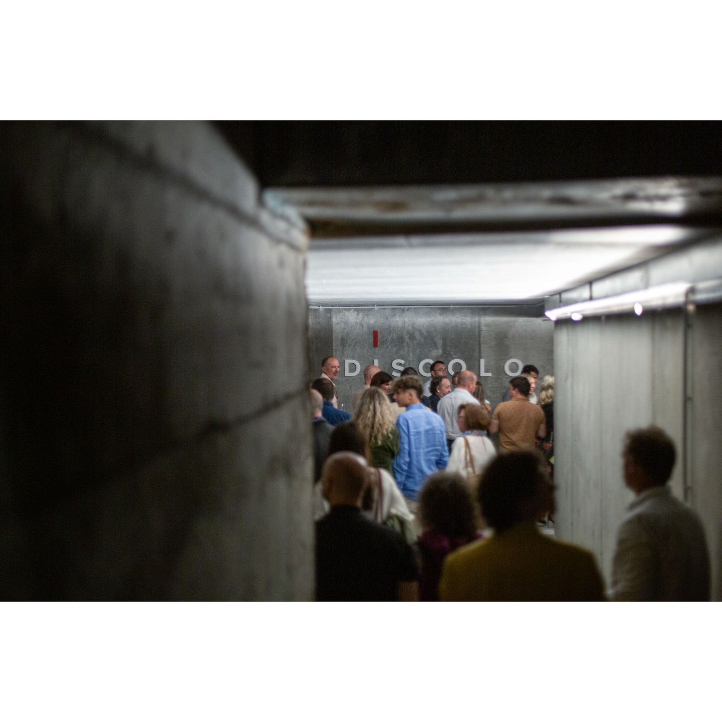 Bodega Discolo: modern architecture meets wine rebellion