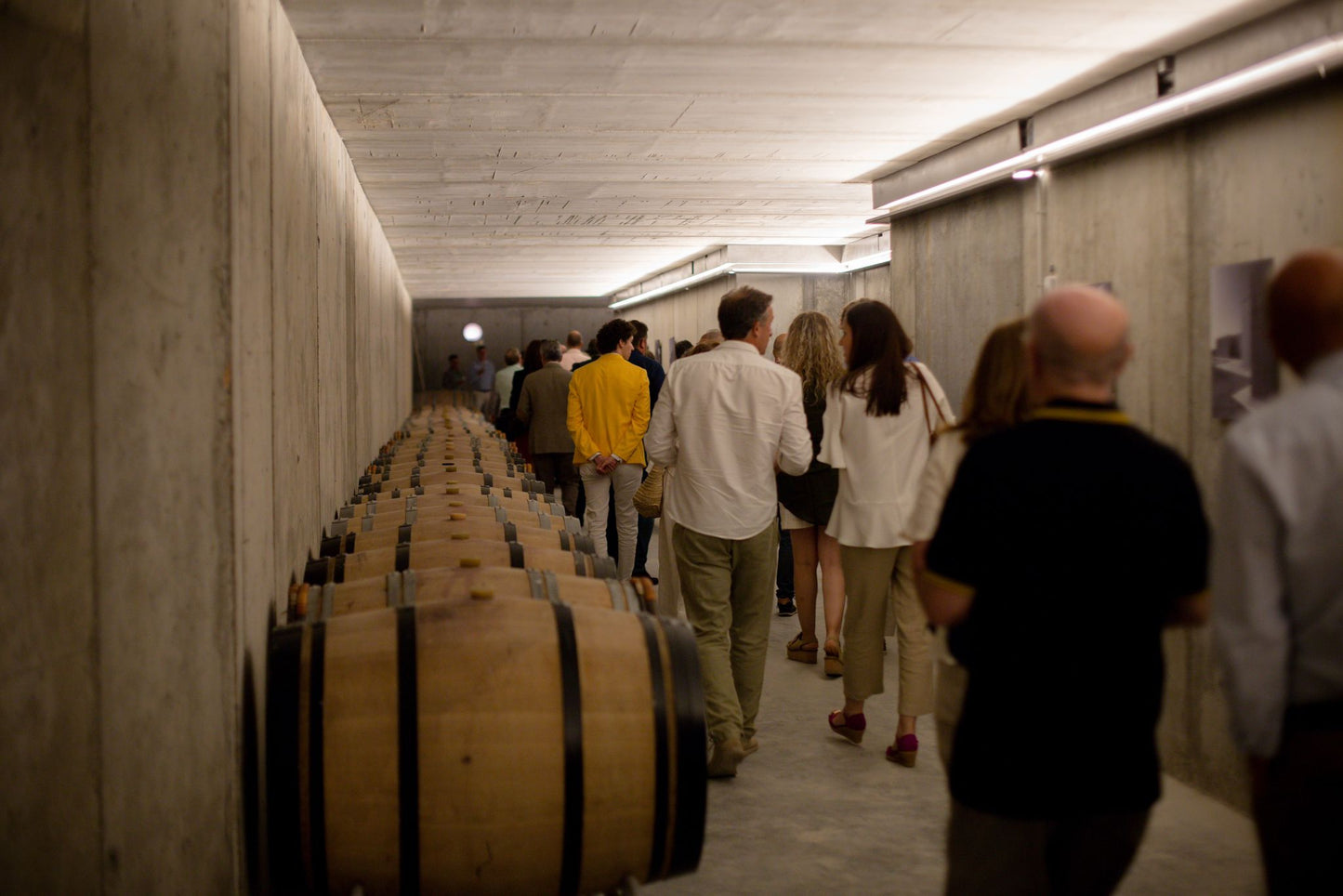 Bodega Discolo: modern architecture meets wine rebellion