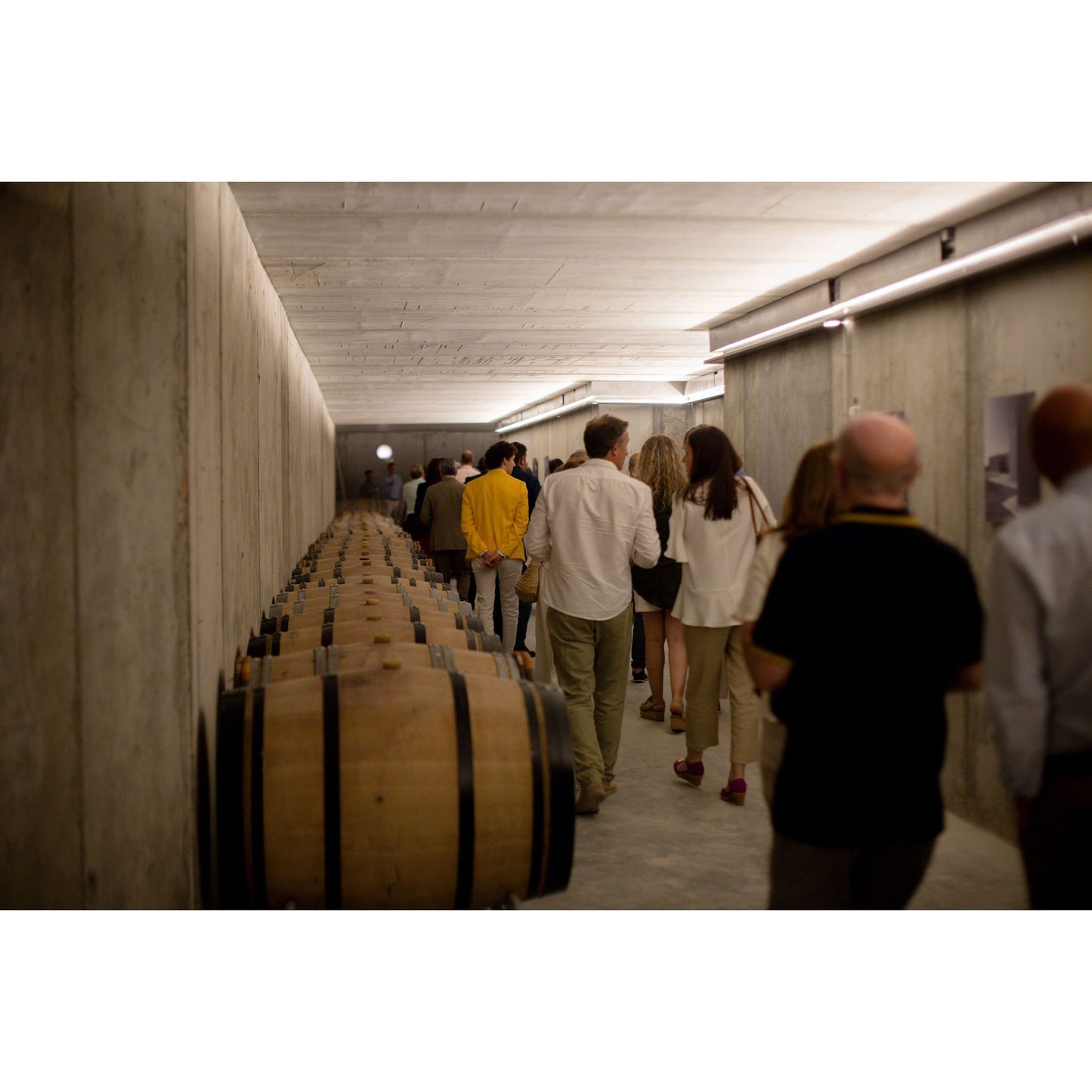 Bodega Discolo: modern architecture meets wine rebellion