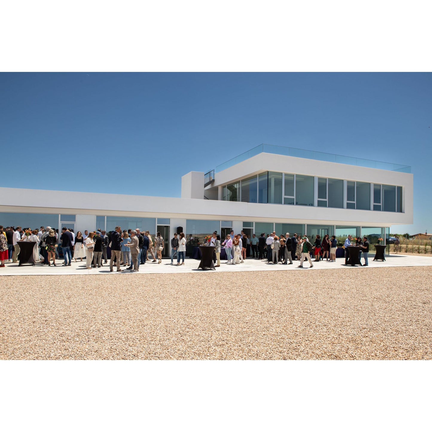 Bodega Discolo: modern architecture meets wine rebellion