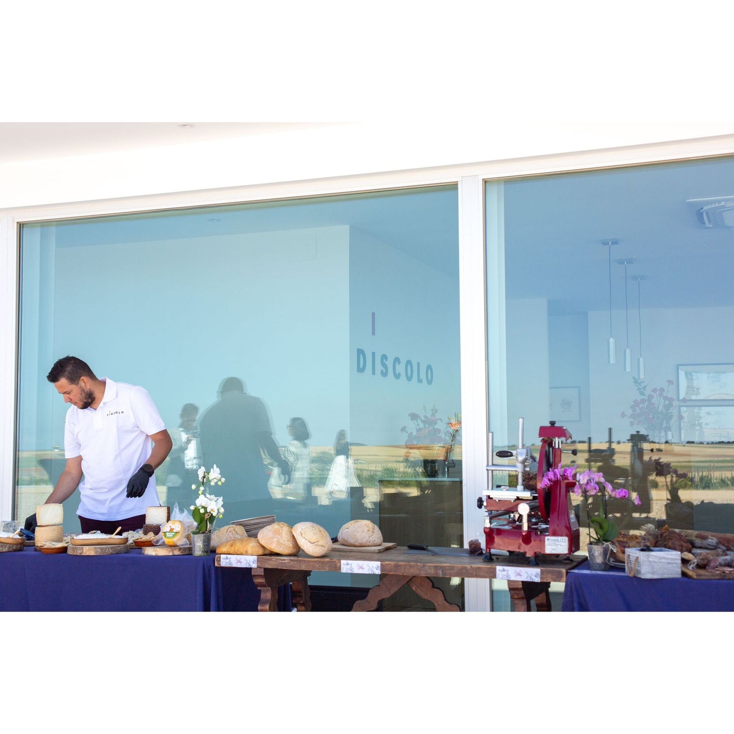 Tinta de Toro vines at Discolo, marked organic