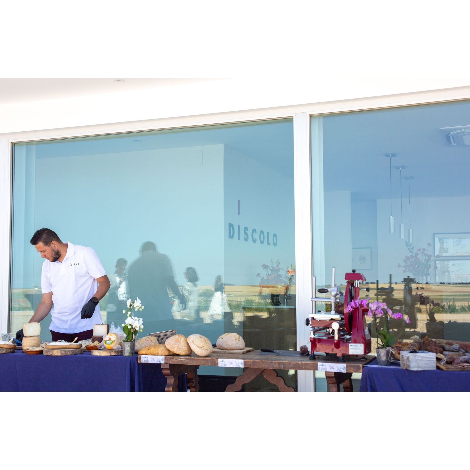 Tinta de Toro vines at Discolo, marked organic