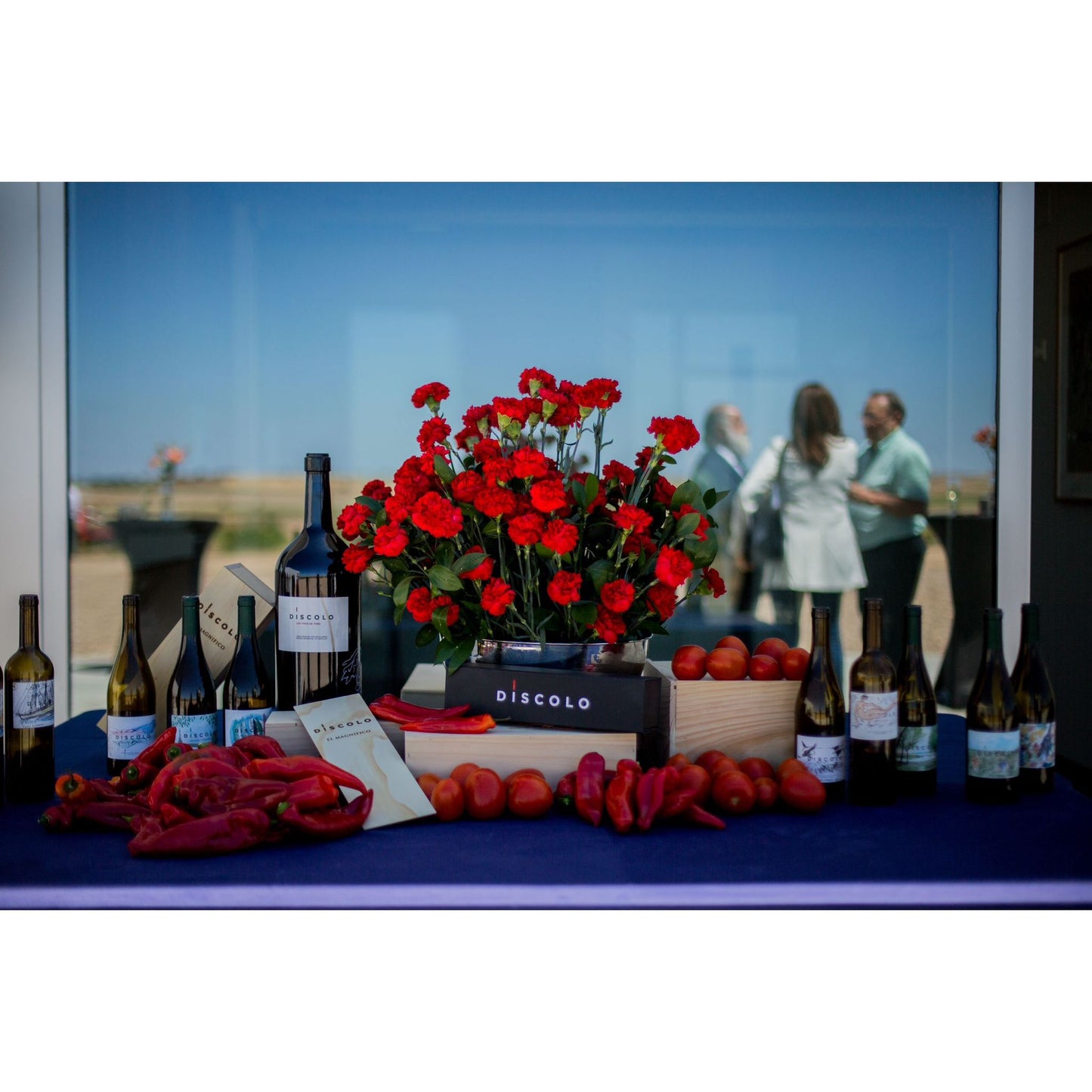 Bodega Discolo: modern architecture meets wine rebellion