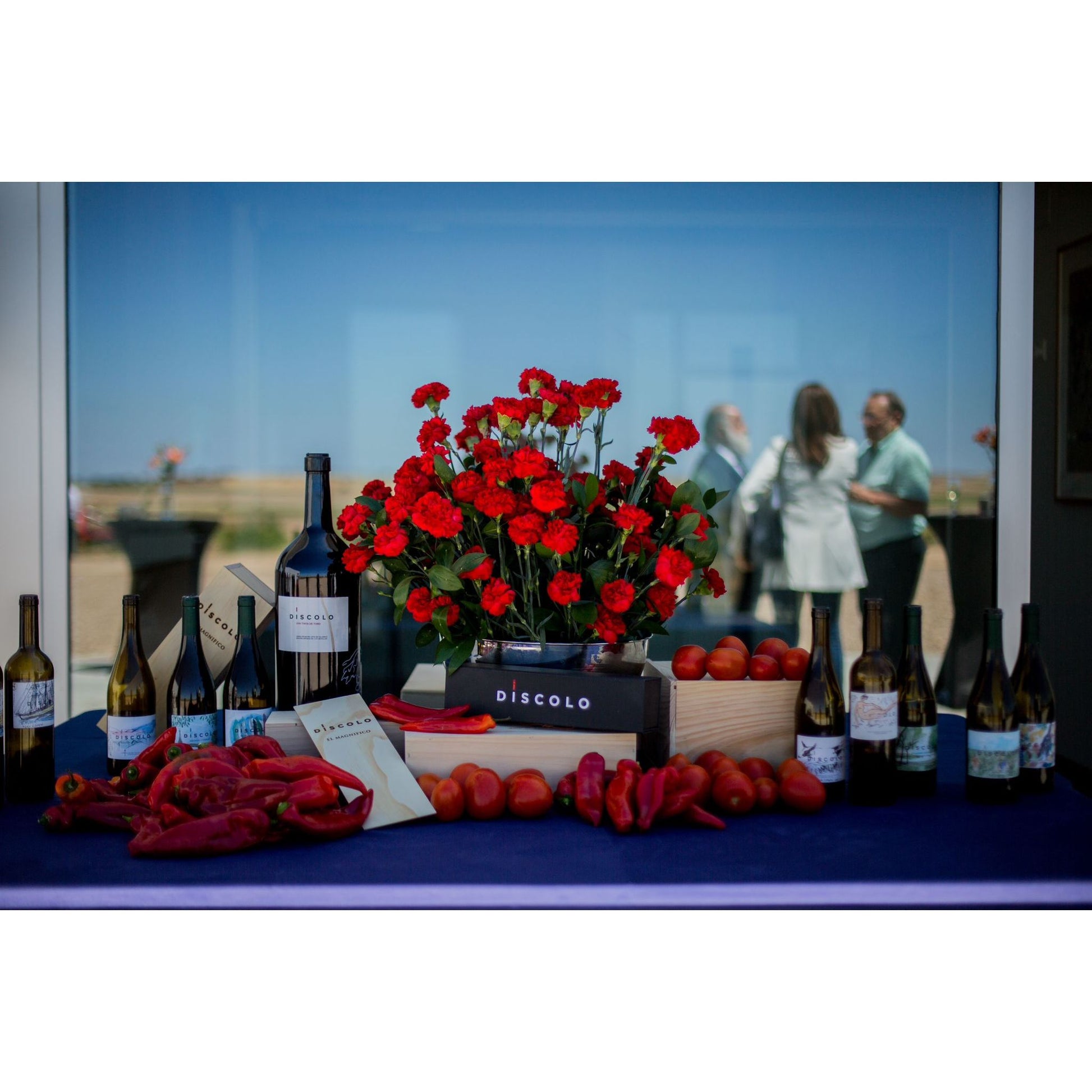 Bodega Discolo: modern architecture meets wine rebellion