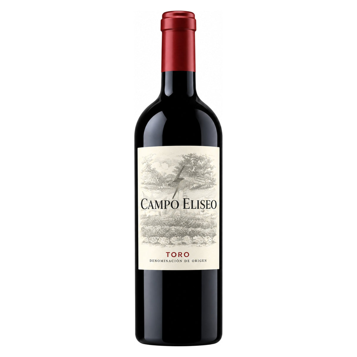 Bodegas Campo Elíseo – Campo Elíseo Toro 2017 – Toro Spain