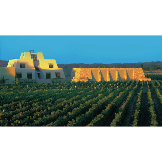Sunbeams filtering through Catena Zapata’s iconic pyramid cellar”
