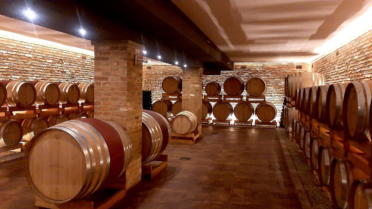 Montalbera Experience: Piedmont Wine Suites, Tastings & Vineyard Trails