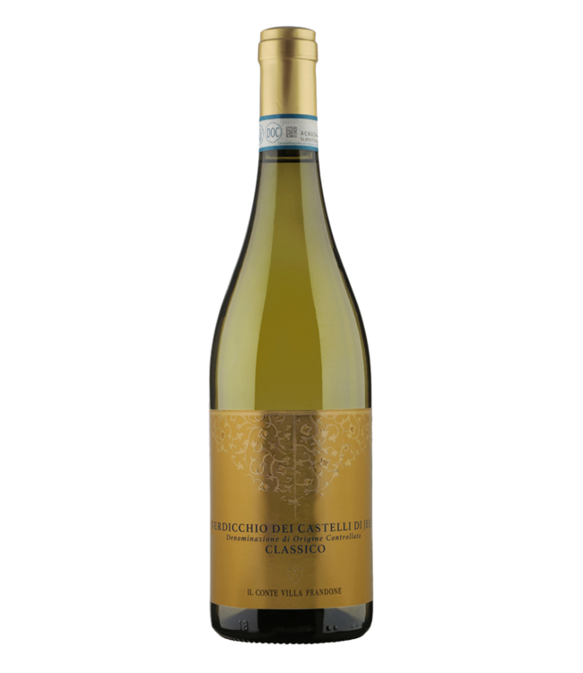 Il Conte Villa Prandone – Verdicchio dei Castelli di Jesi 2024 – Marche Italy