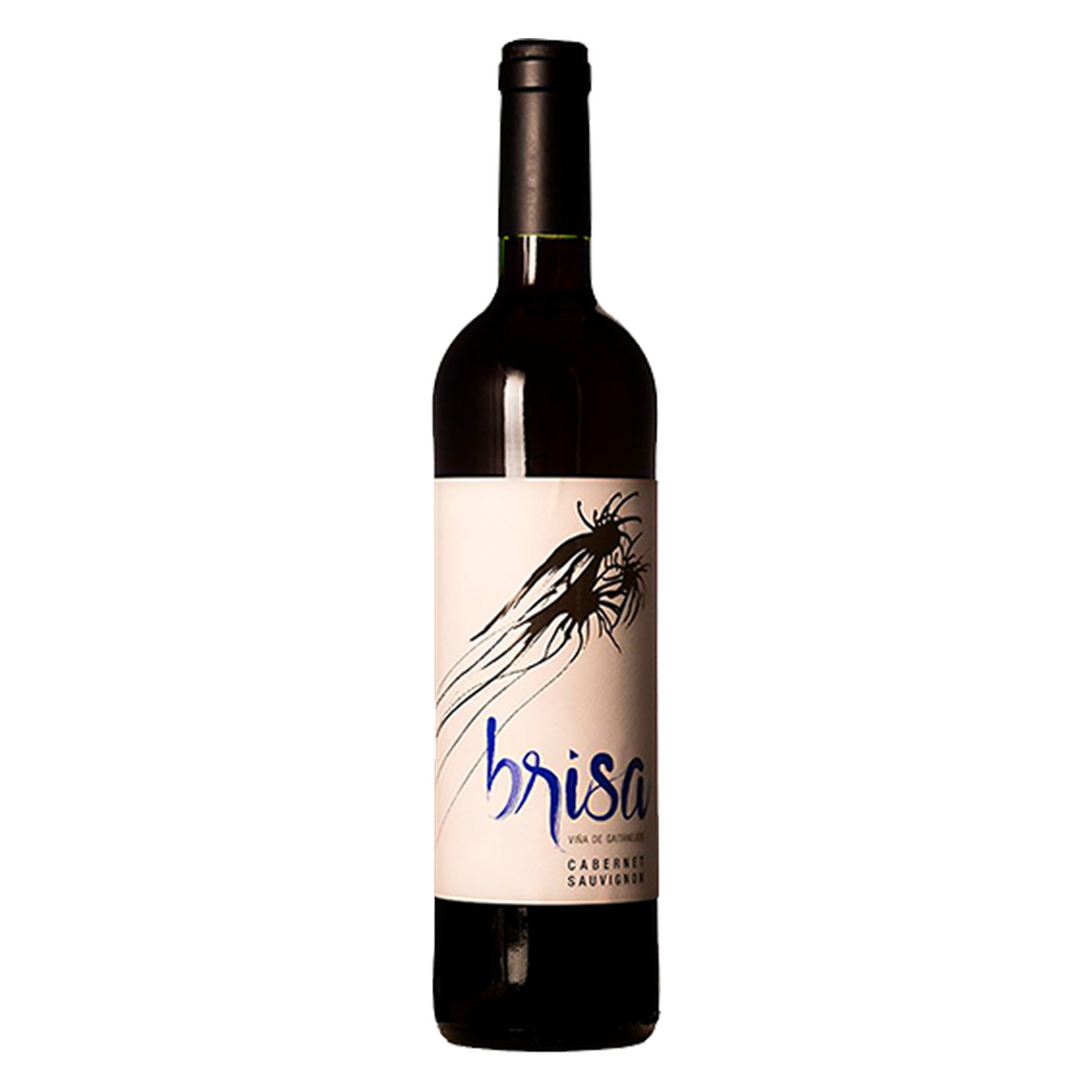 Viña de Gaitanejos – Brisa 2024 – Castilla Spain