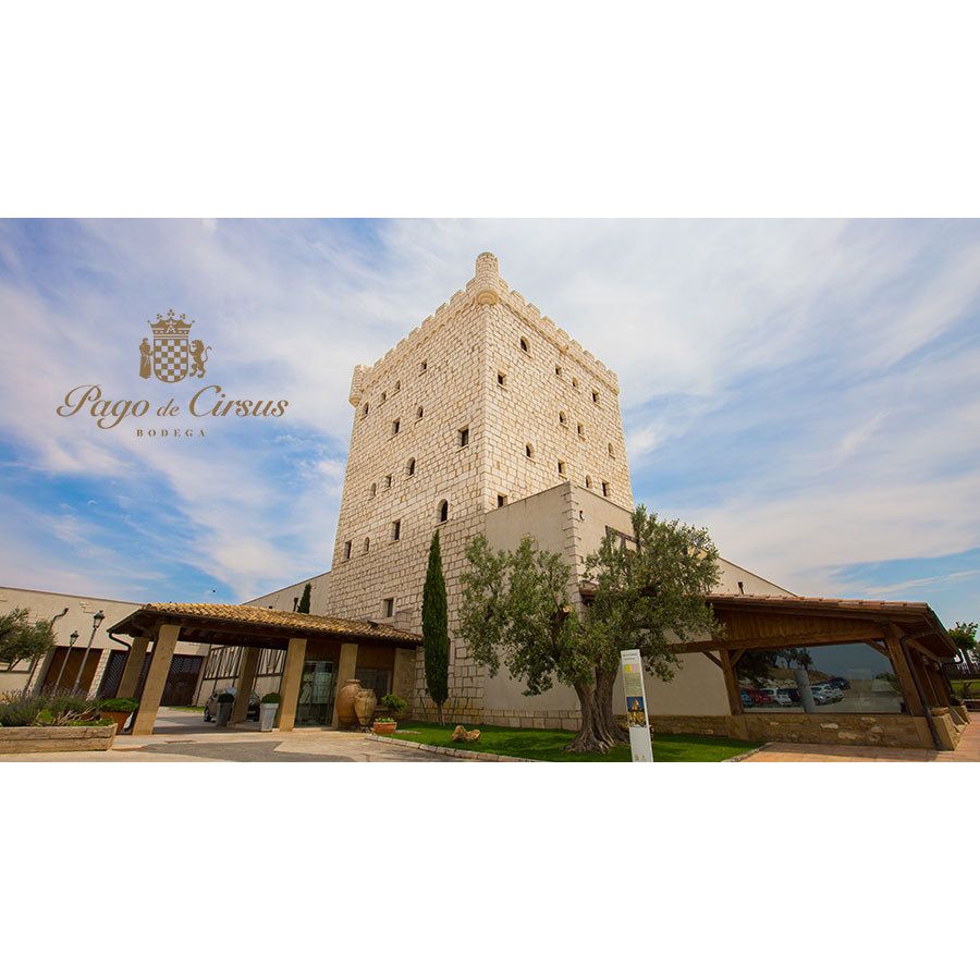 Pago de Cirsus Experience: Boutique Stay, Barrel Tastings & Michelin Dining in Navarra
