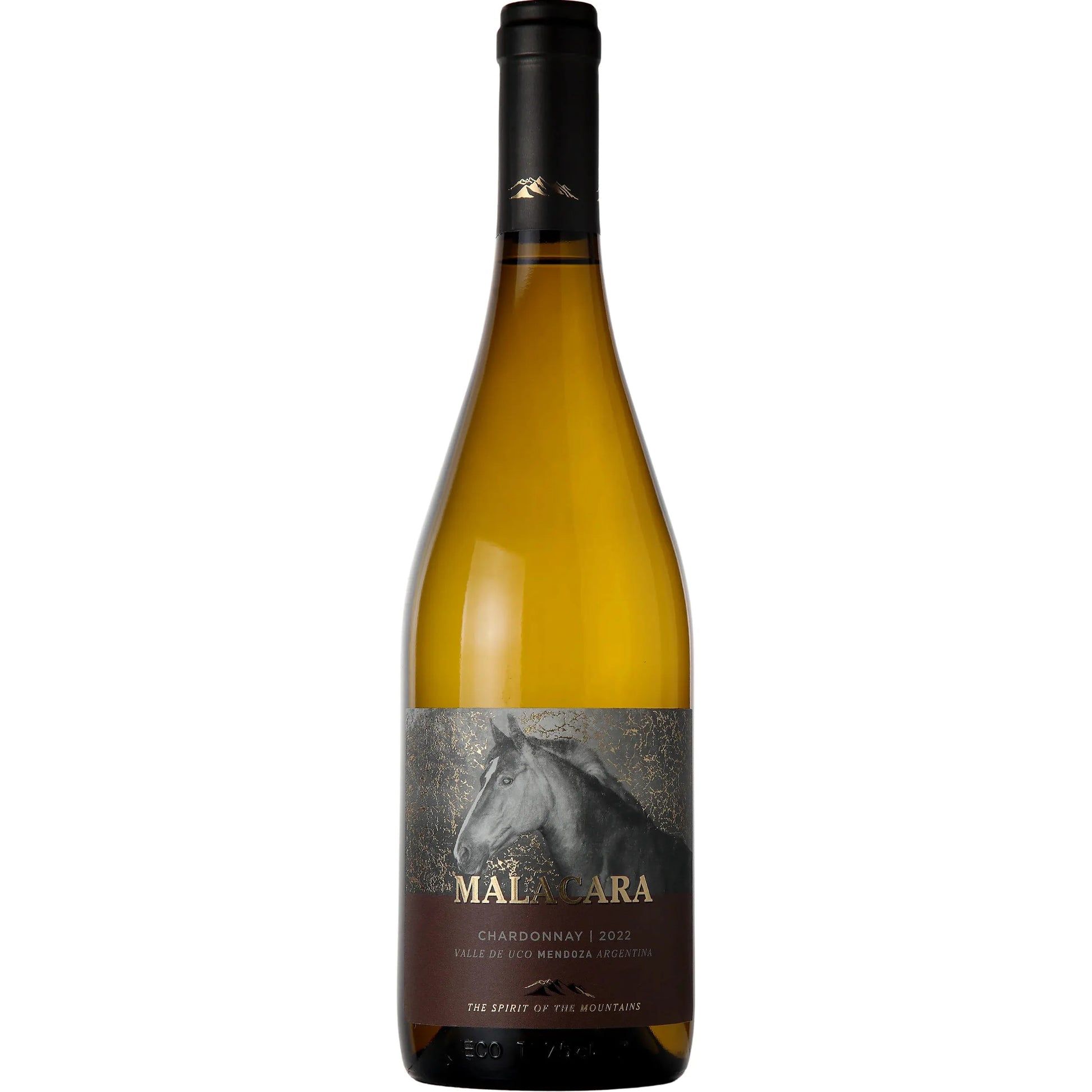Malacara Chardonnay 2022 bottle from La Consulta, Mendoza