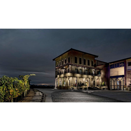 Bodegas Manzanos: Rioja Wine Experience with Historic Cellar Tour, Vineyard Safari & Gourmet Lunch