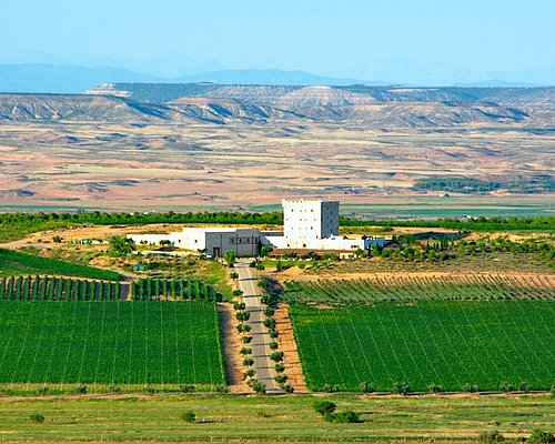 Pago de Cirsus Experience: Boutique Stay, Barrel Tastings & Michelin Dining in Navarra