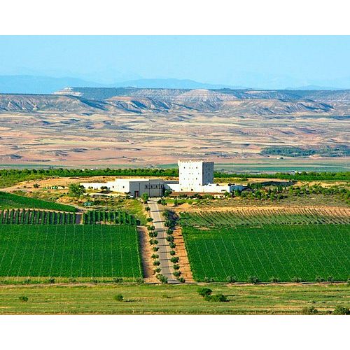 Pago de Cirsus Experience: Boutique Stay, Barrel Tastings & Michelin Dining in Navarra