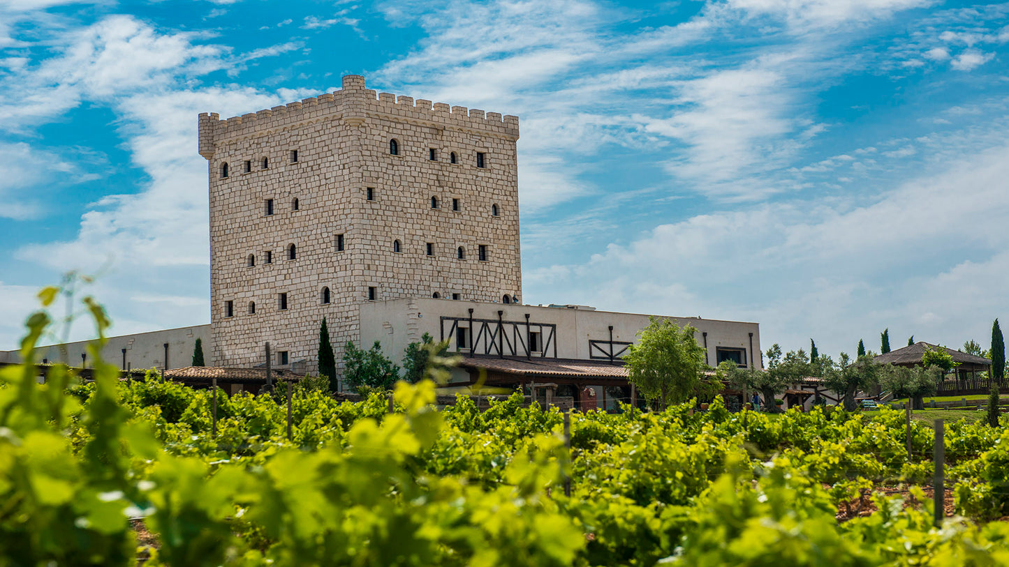 Pago de Cirsus Experience: Boutique Stay, Barrel Tastings & Michelin Dining in Navarra