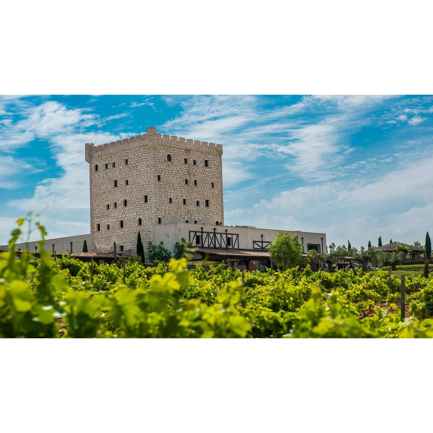 Pago de Cirsus Experience: Boutique Stay, Barrel Tastings & Michelin Dining in Navarra