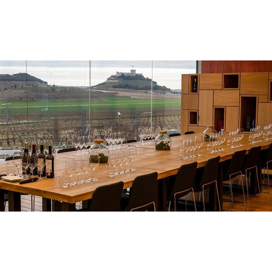 Tempranillo tasting in barrel hall at Pago de Carraovejas