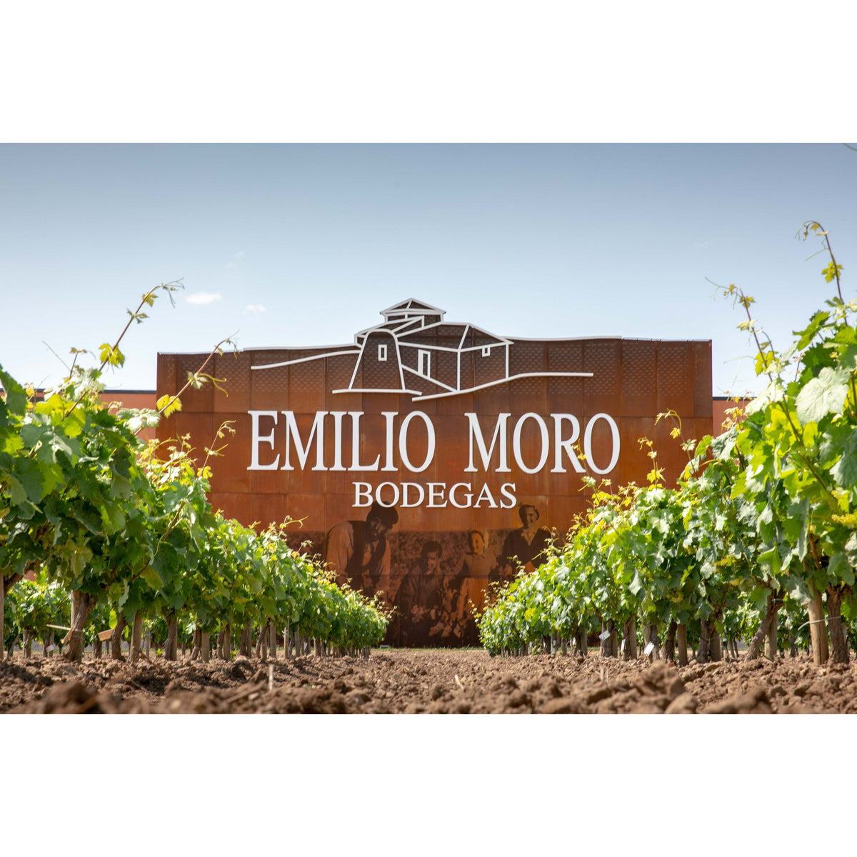Bodegas Emilio Moro winery in Pesquera de Duero, Ribera del Duero, Spain