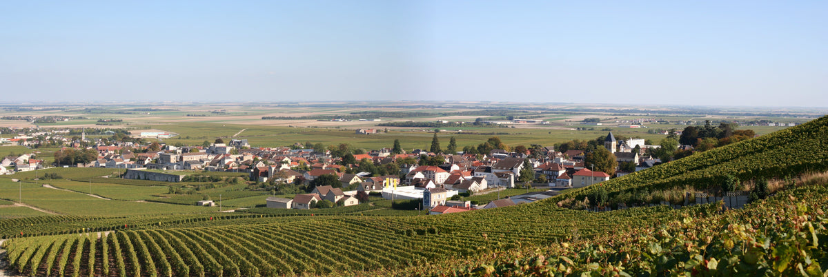 Real vineyard panorama of Avize, Champagne, for Agrapart & Fils — photo by Gilles.callot