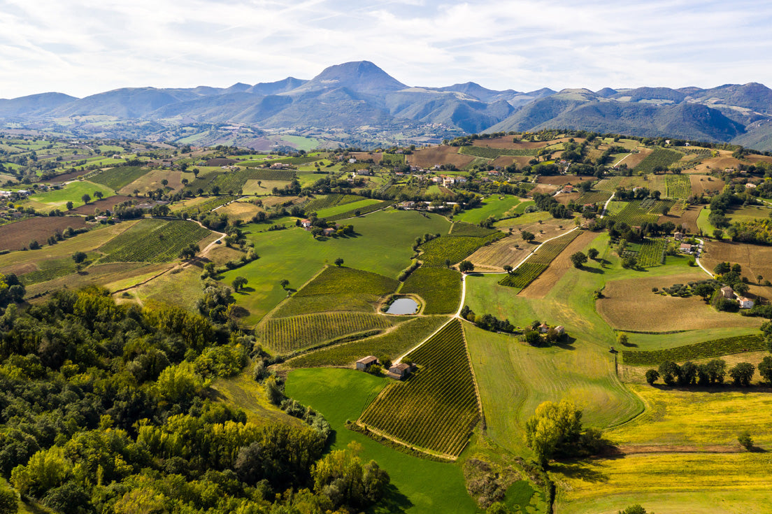 Real landscape of the Apiro territory in Marche from Andrea Felici