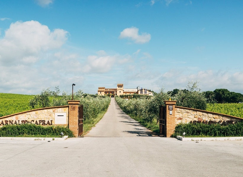 Arnaldo Caprai winery in Montefalco, part of Angelini Wines & Estates