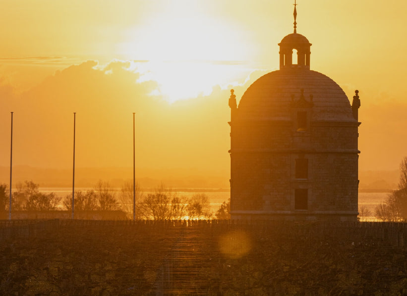 Château Latour in Pauillac, an Artémis Domaines estate