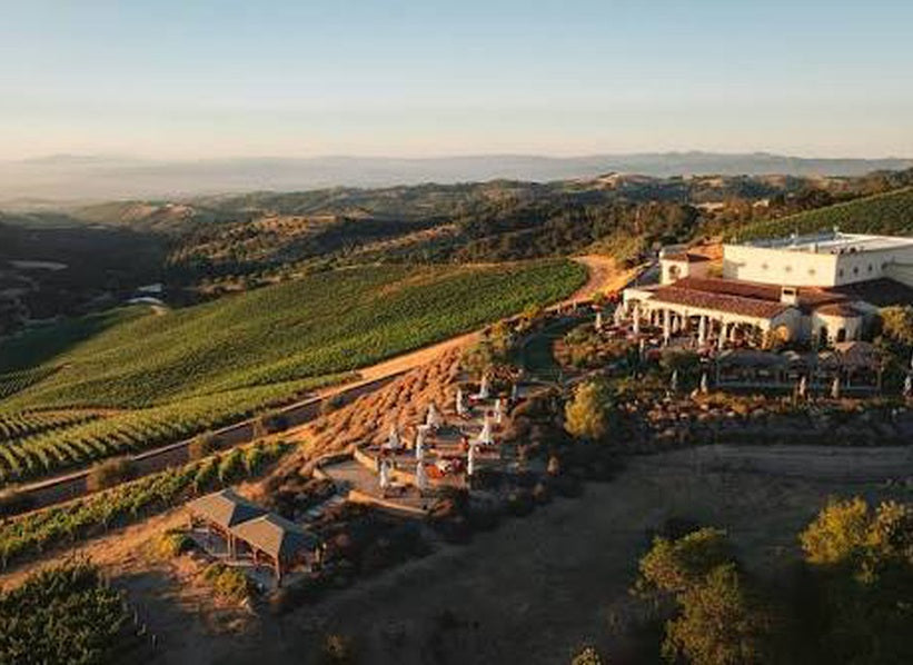 Vineyard estate on rolling hills at golden hour