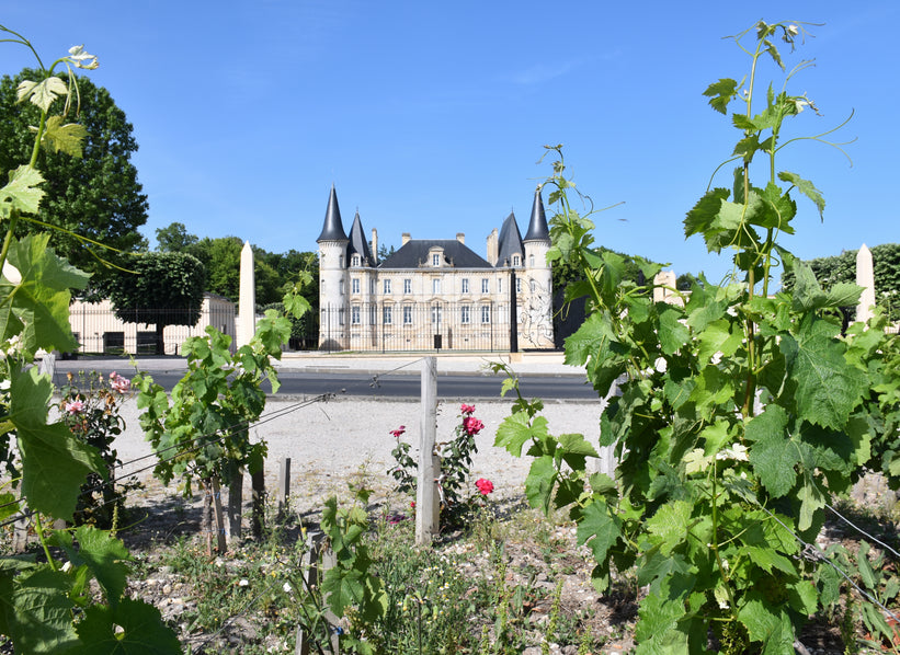 Château Pichon Baron in Pauillac, an AXA Millésimes estate