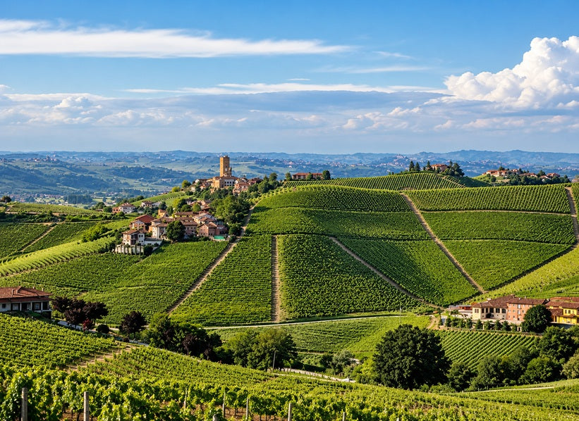 Enhanced illustrative panorama of vineyards and Barbaresco hills in Piedmont, Italy