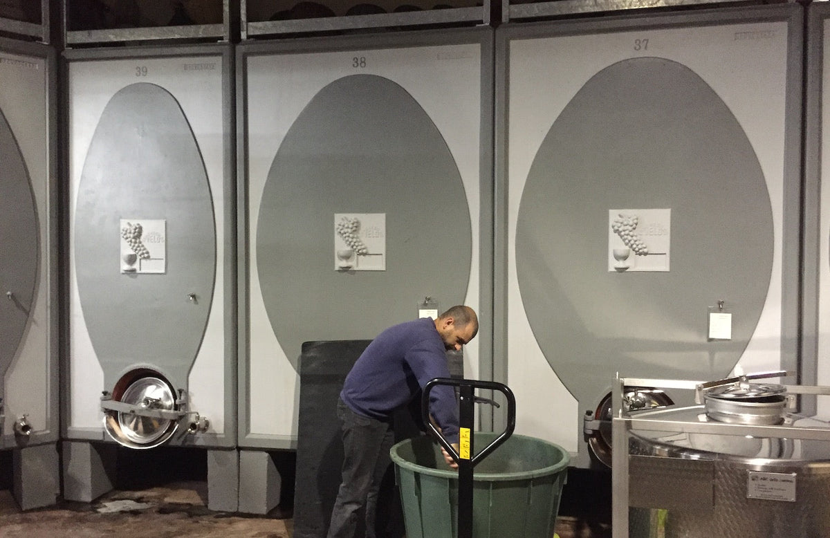 Real cellar photograph of concrete vats at Bartolo Mascarello in Barolo