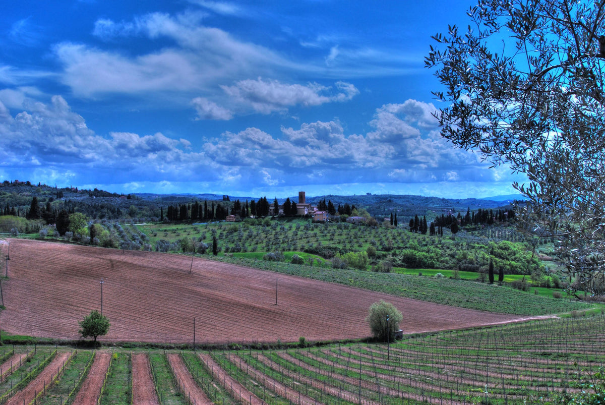 Real Tuscan vineyard landscape for Bibi Graetz — photo by Francesco Sgroi