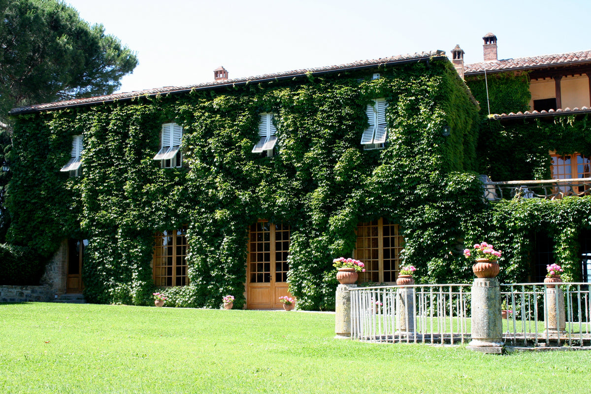 Real photograph of the Biondi-Santi Tenuta Greppo estate in Montalcino — photo by Megan Cole