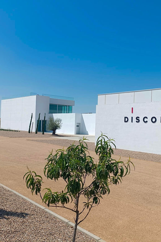 Bodegas Díscolo winery in El Pego, Zamora, Spain — image via GetYourGuide