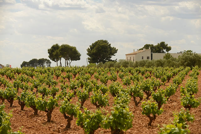 Bodegas Hispano+Suizas vineyards and winery in Requena, Valencia — image courtesy of Bodegas Hispano+Suizas