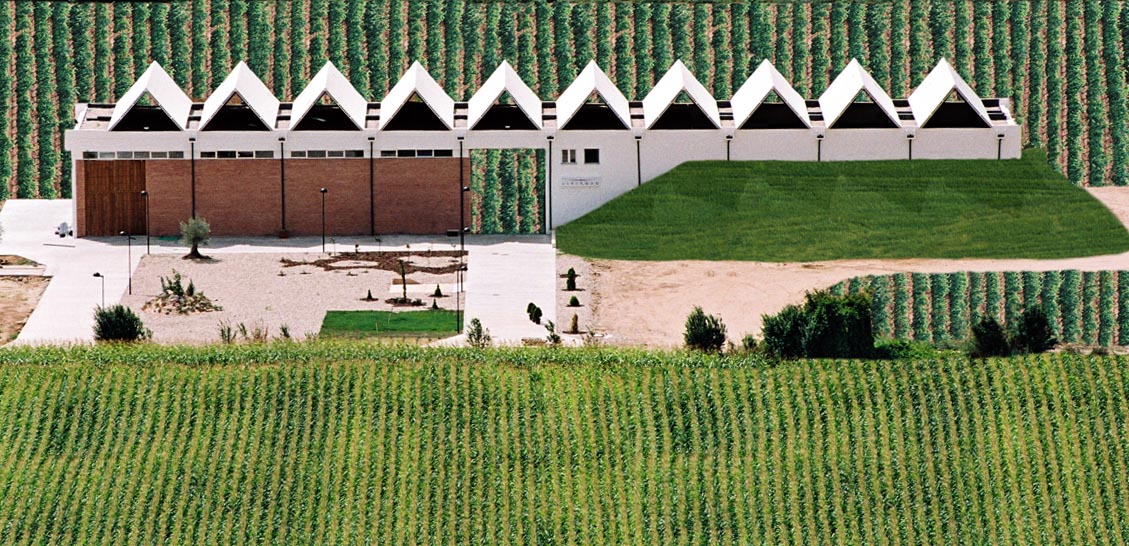 Bodegas Lleiroso in Valbuena de Duero, Ribera del Duero, Spain