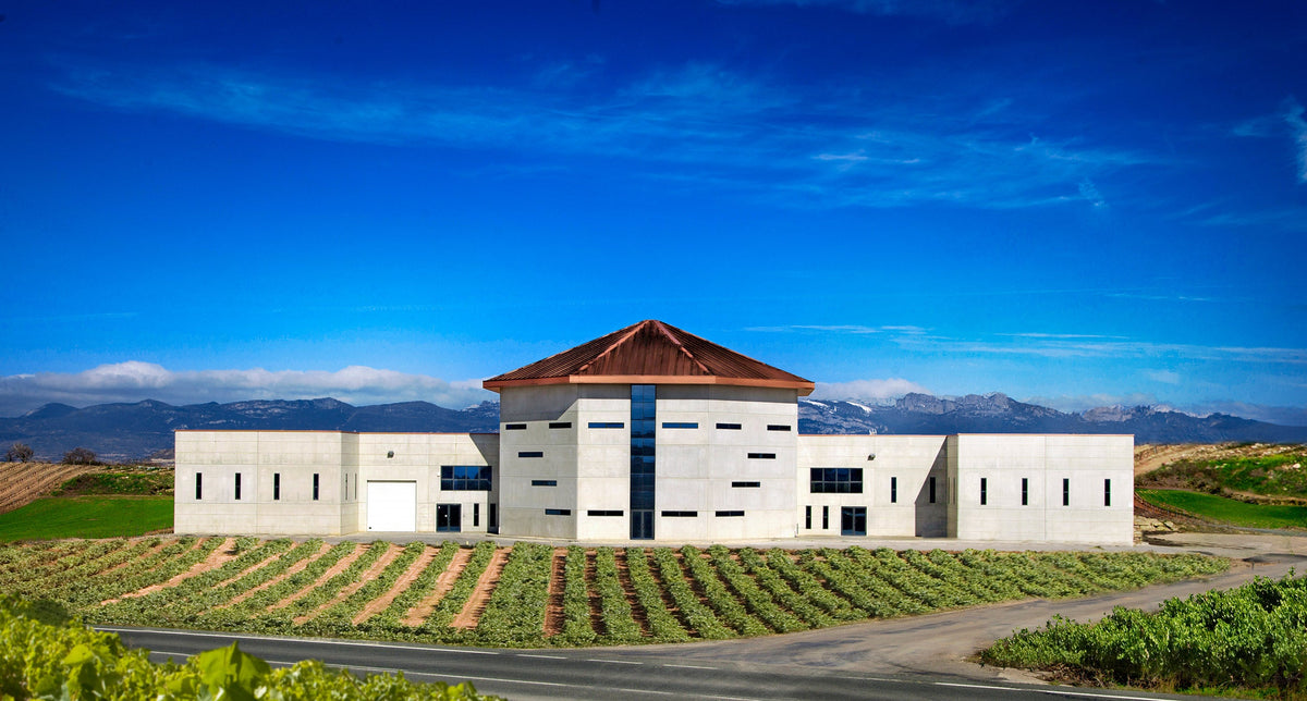 Bodegas Martínez Corta winery and vineyards in Uruñuela, Rioja Alta, Spain