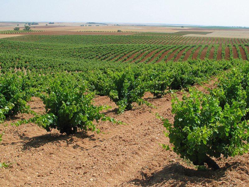 Bodegas Valdeorite in Extremadura, Spain