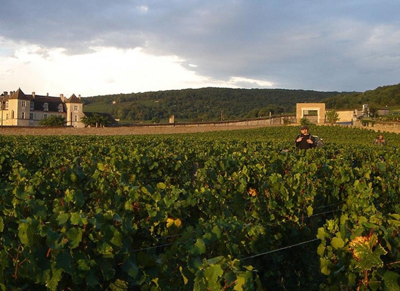 Burgundy vineyard estate associated with Boisset Collection